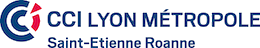 cci-lyon-metropole logo